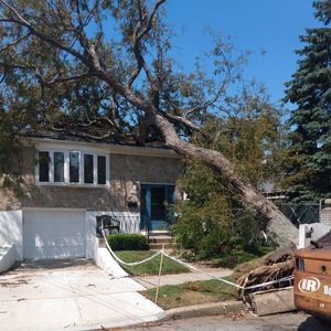 Meet your Posher, Charles